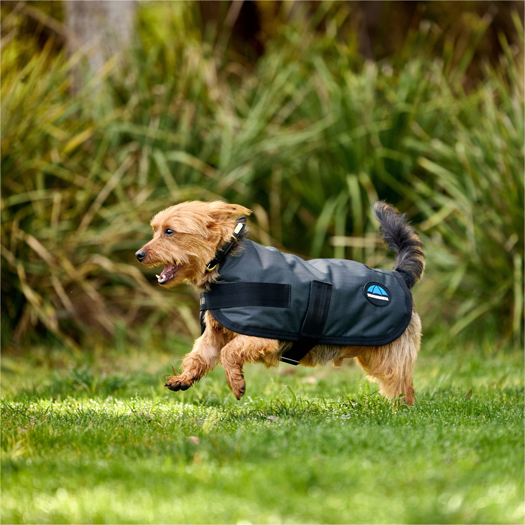 2025 Weatherbeeta Comfitec Classic Waterproof Dog Coat 1029048 - Charcoal
